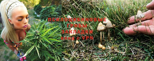 герыч Ладушкин