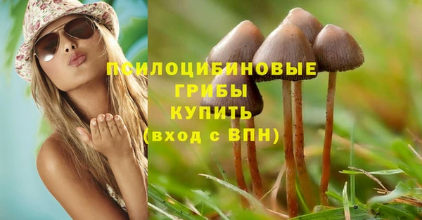 герыч Ладушкин