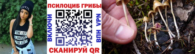 купить   дарк нет официальный сайт  Псилоцибиновые грибы прущие грибы  Комсомольск-на-Амуре 